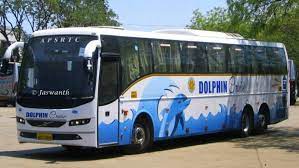 ডলফিন পরিবহন রাঙ্গুনিয়া কাউন্টার - 01914216988