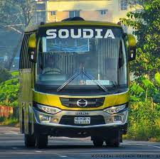 সৌদিয়া পরিবহন দামপাড়া কাউন্টার - 01919654821